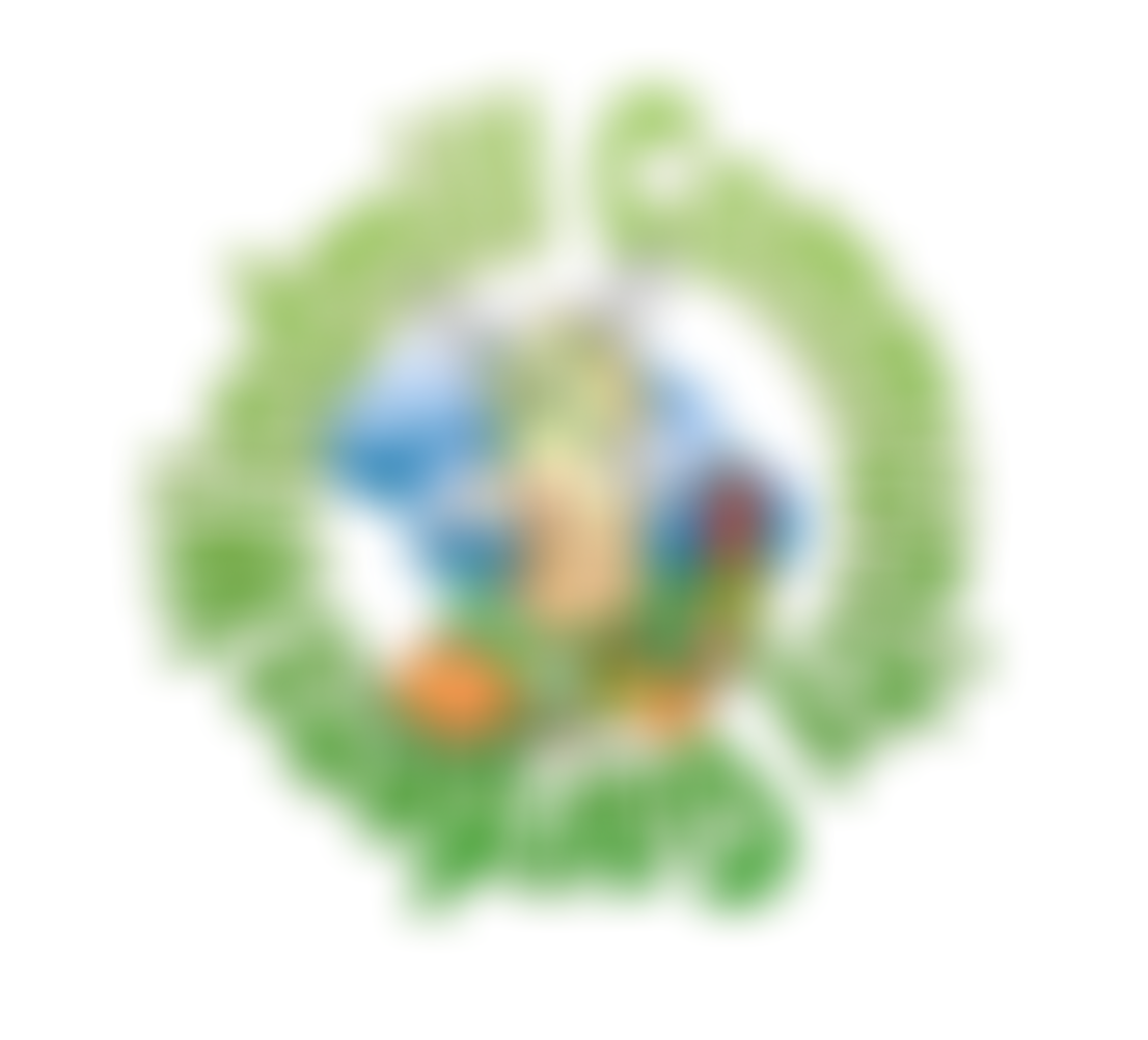 Windmill Community Gardens | Charici