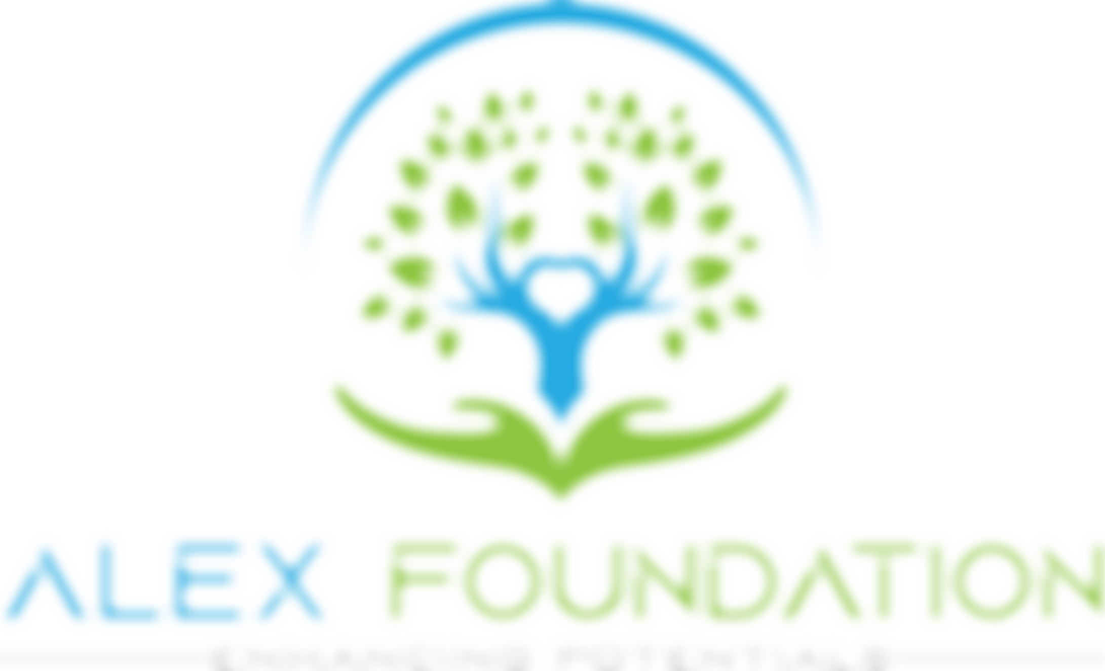 Alex Foundation | Charici