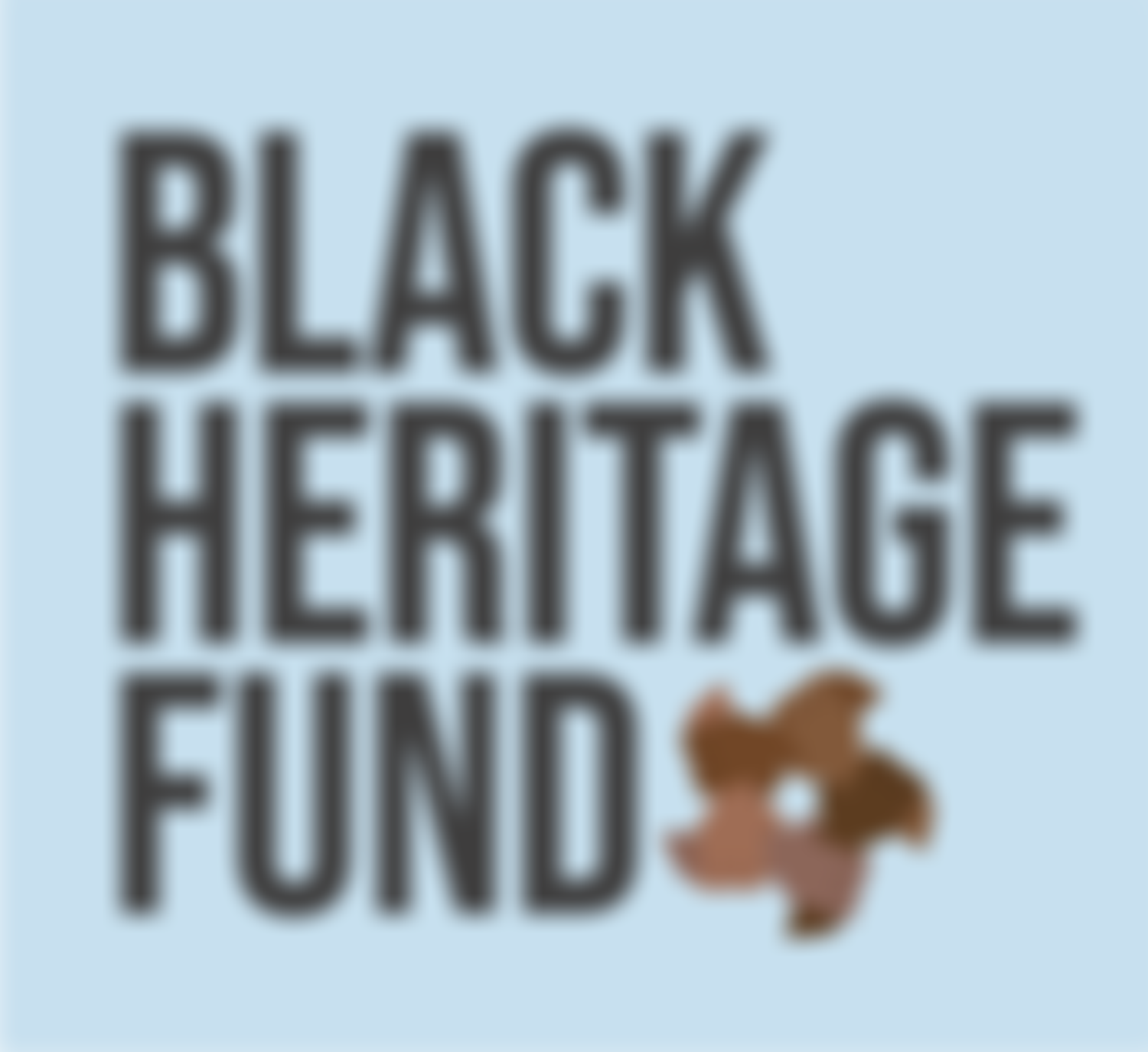 Black Heritage Fund | Charici