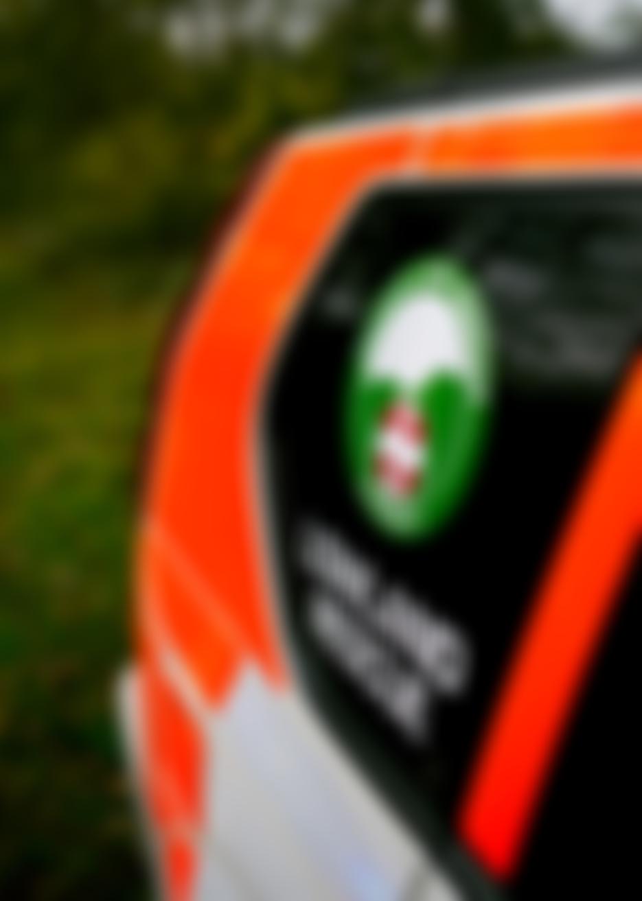 Surrey Search And Rescue | Charici