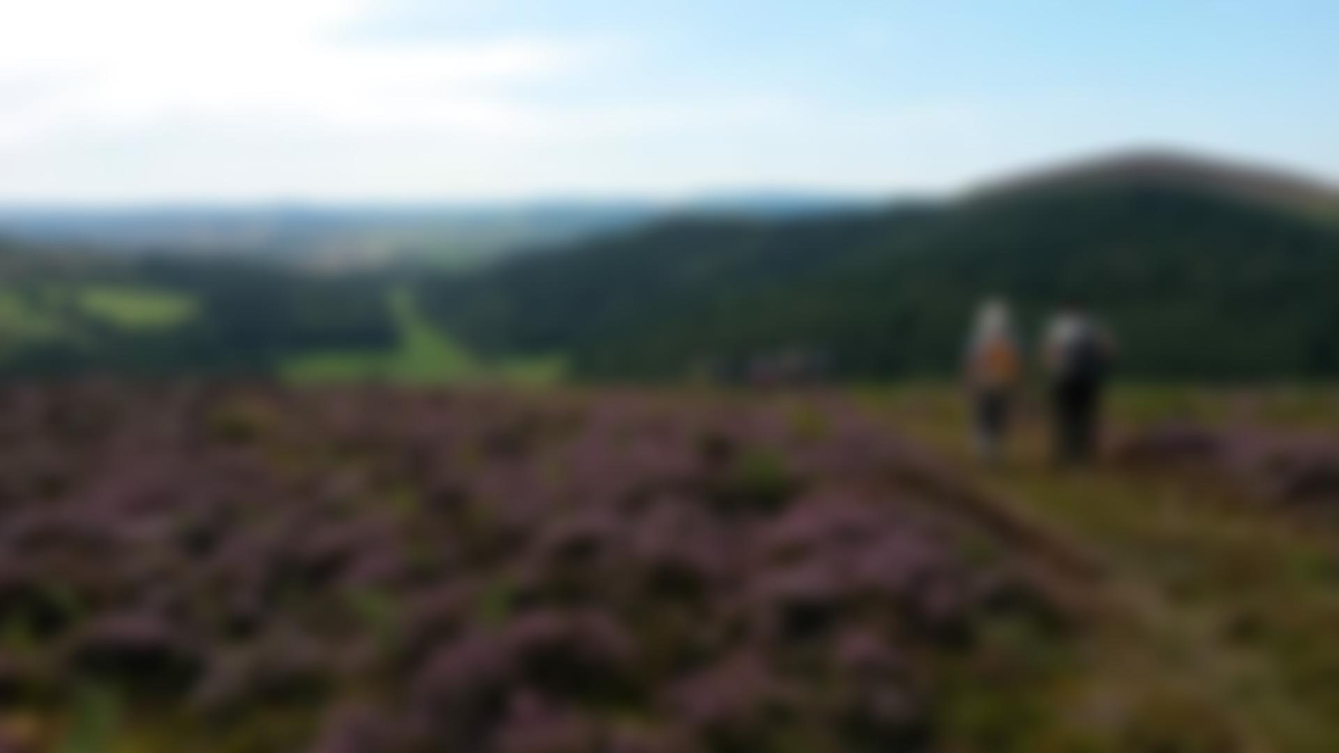 The Shropshire Way Association | Charici