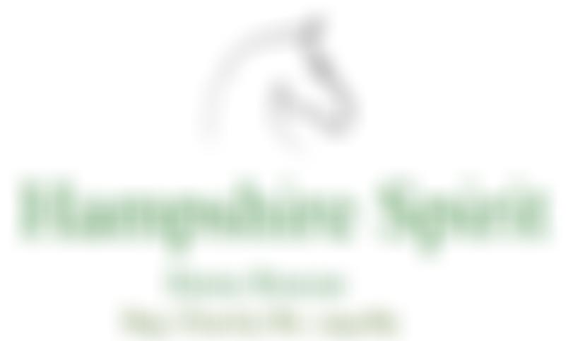 Hampshire Spirit Horse Rescue | Charici