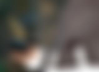 London Zen Group - Lzg | Charici