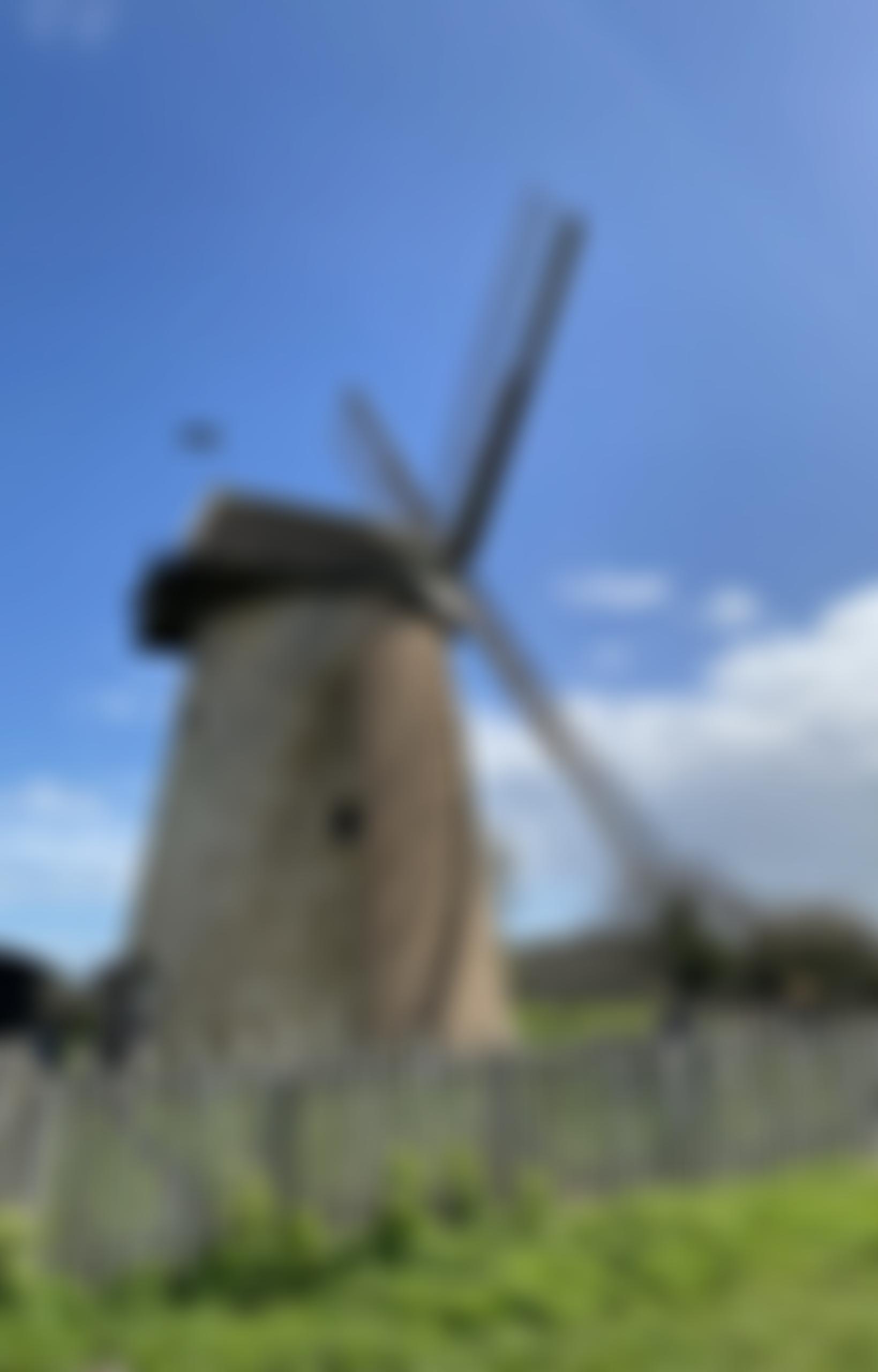 Bembridge Men In Sheds | Charici