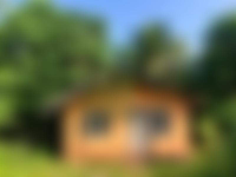 Kindergarten For Akurala (Kfa) | Charici