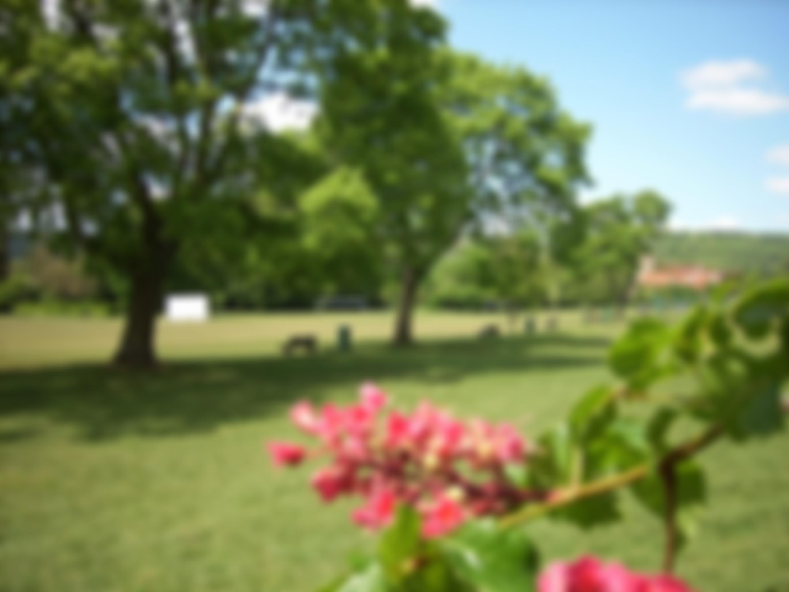 Master Park | Charici