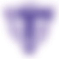 The Tanya Vlok Foundation | Charici