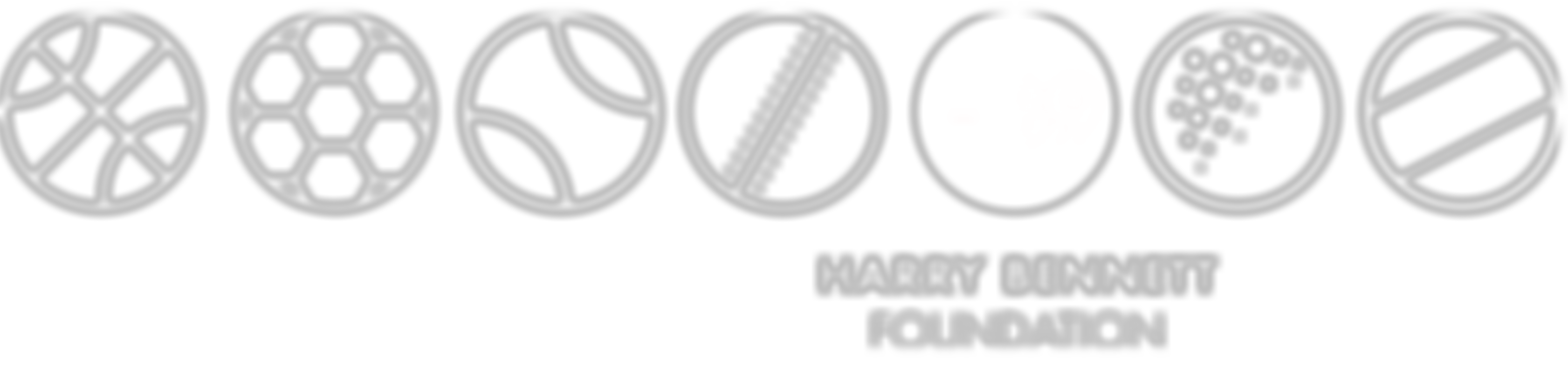 Harry Bennett Foundation | Charici