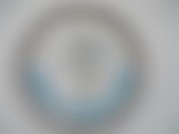 Retired Greyhounds Charity - Whittingham Kennels Greyhound Care | Charici