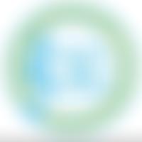 Lyrics And Lunch Network | Charici