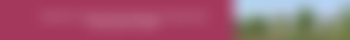 Saxmundham Sports And Recreational Club | Charici