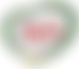Y Lolfa Gcg | Charici