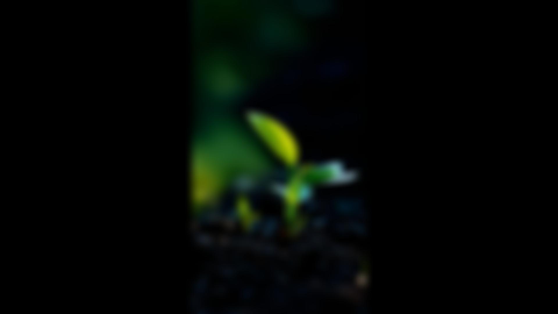 Key To Success | Charici