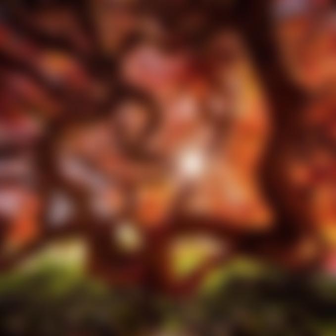 The Tony Farley Foundation | Charici