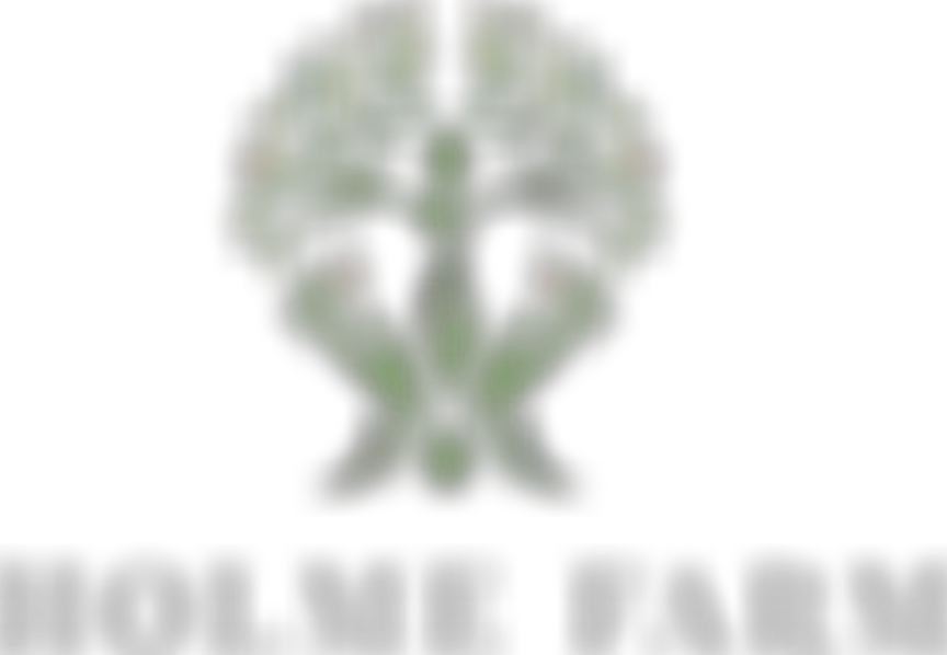 Community Workshops & Gardens @ Holme Farm | Charici