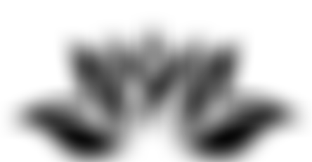 Dkh Foundation | Charici