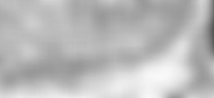 The Southern Early Music Forum | Charici