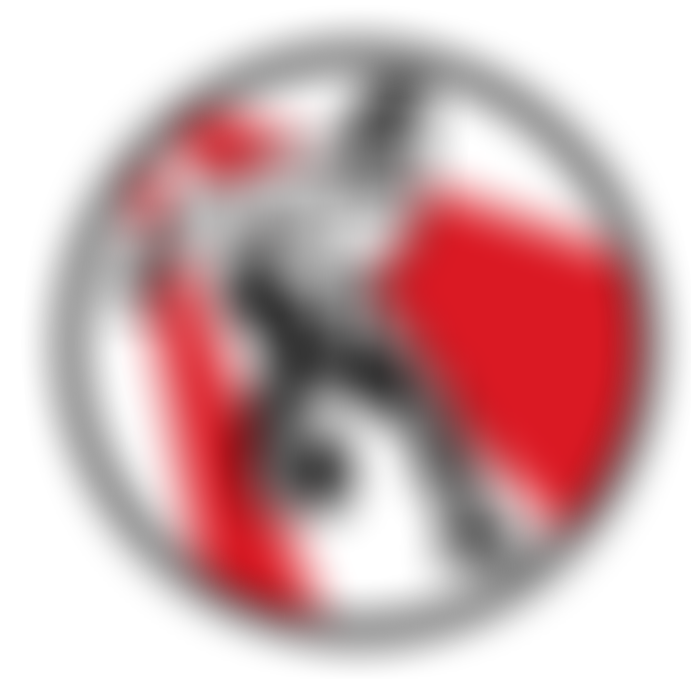 Sunderland Samba Fc | Charici