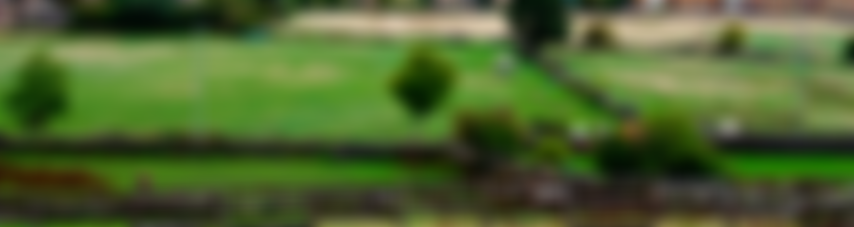 Roleystone Horse And Pony Sanctuary | Charici