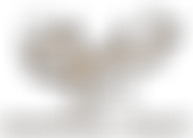 Khayraat Trust | Charici