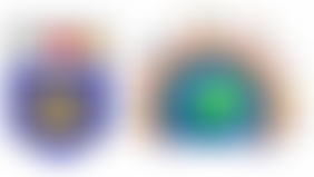 Friends Of Thorpe School Association | Charici