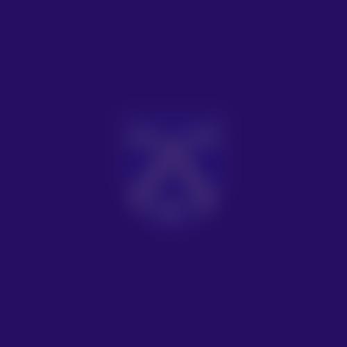 Wollaston Primary Pta | Charici