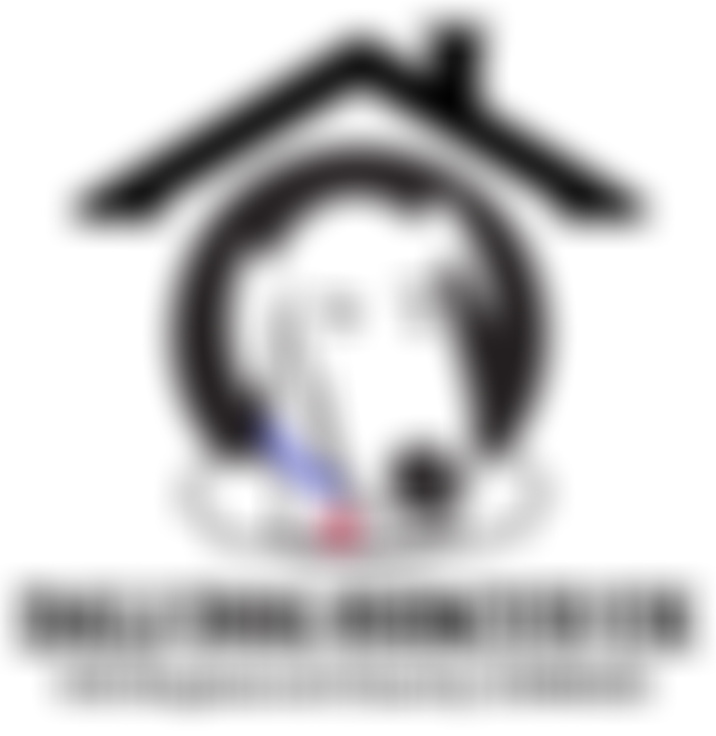 Dali Dog Rescue UK | Charici