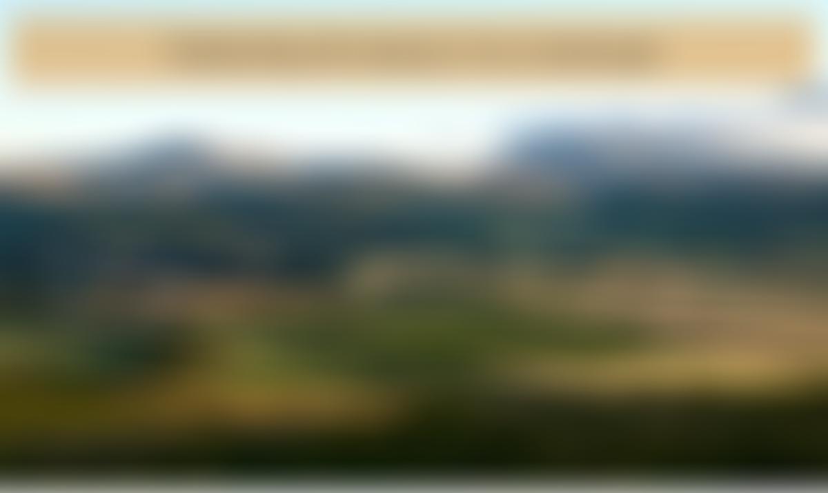 Wooler Arts | Charici