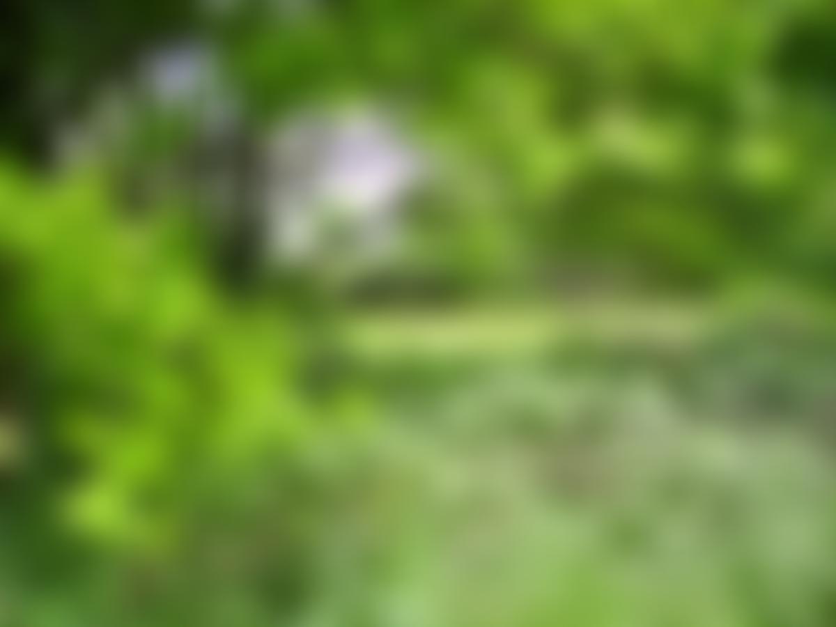 The Blaxhall Commons And Open Spaces Charitable Trust | Charici