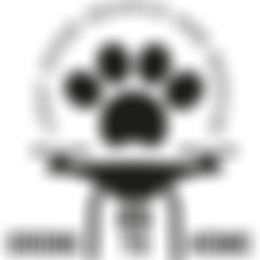 Drone To Home | Charici