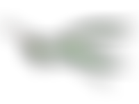 Friends Of Holt Island Nature Reserve | Charici