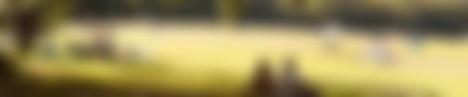 Meersbrook Park Users Trust Cio | Charici