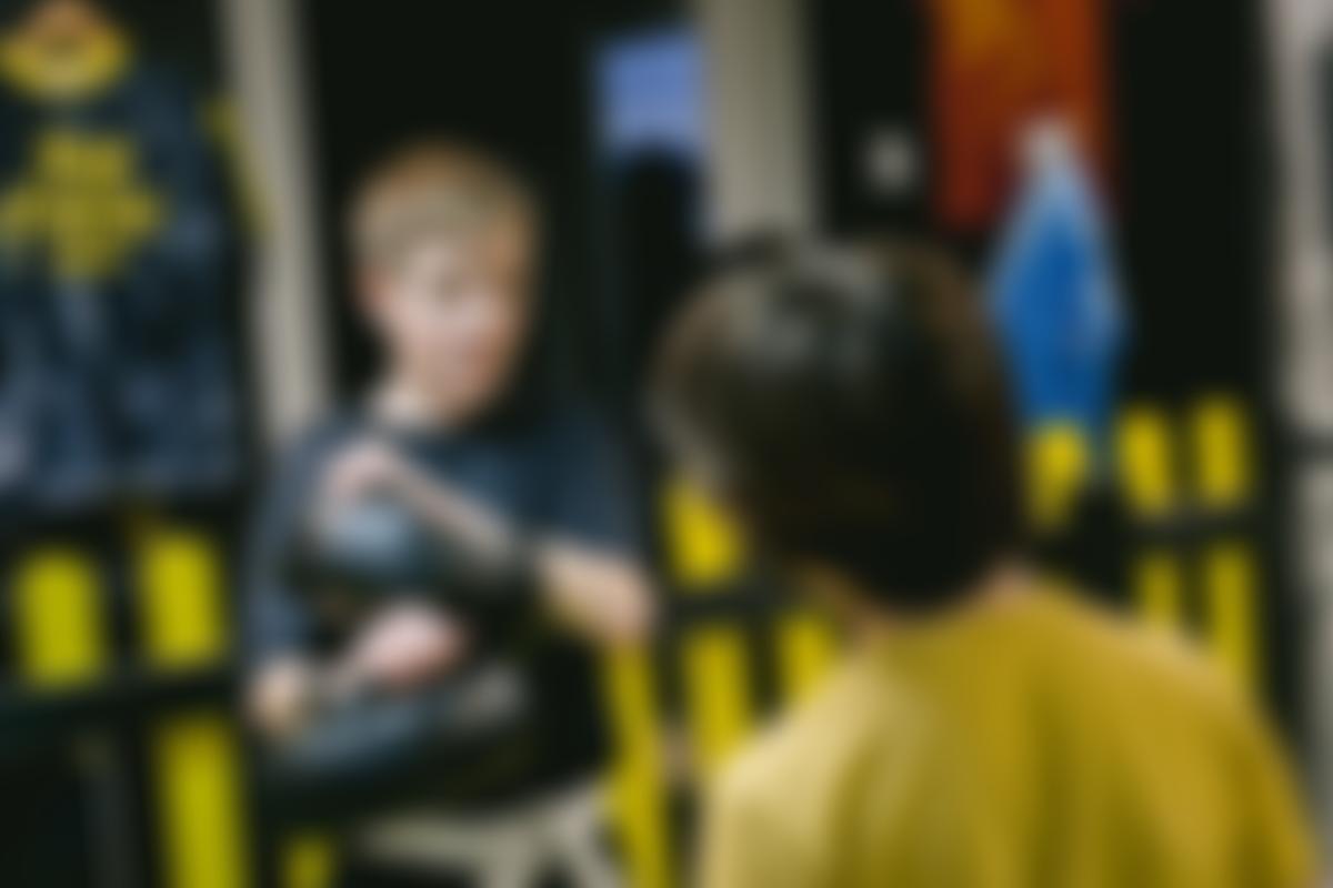 Sports Martial Arts And Fitness Organisation Hive | Charici