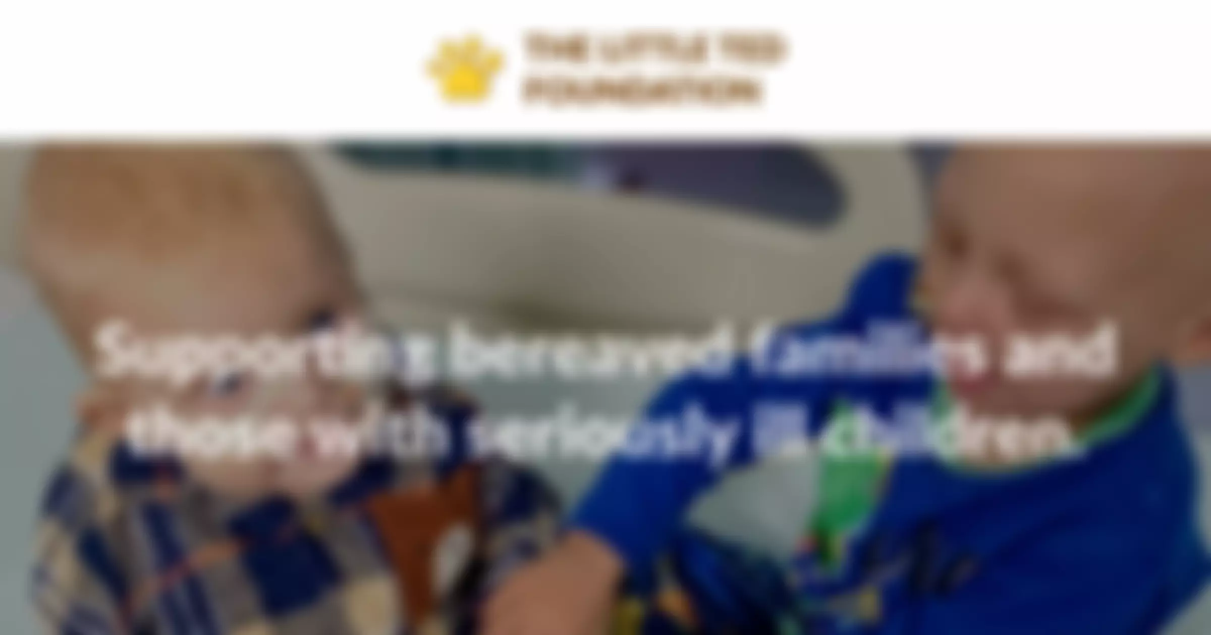 The Little Ted Foundation | Charici