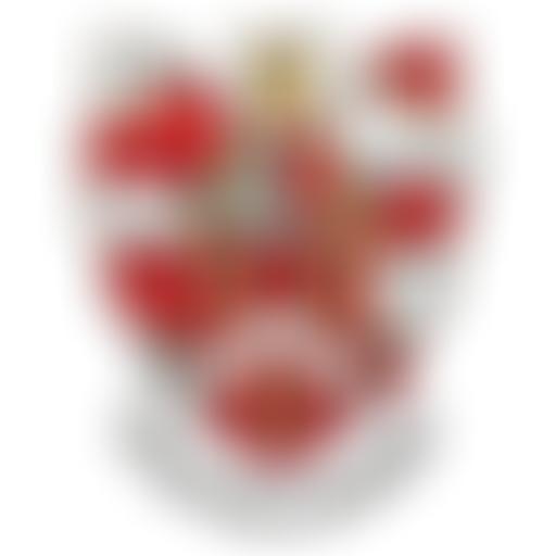Bromyard Bowmen | Charici