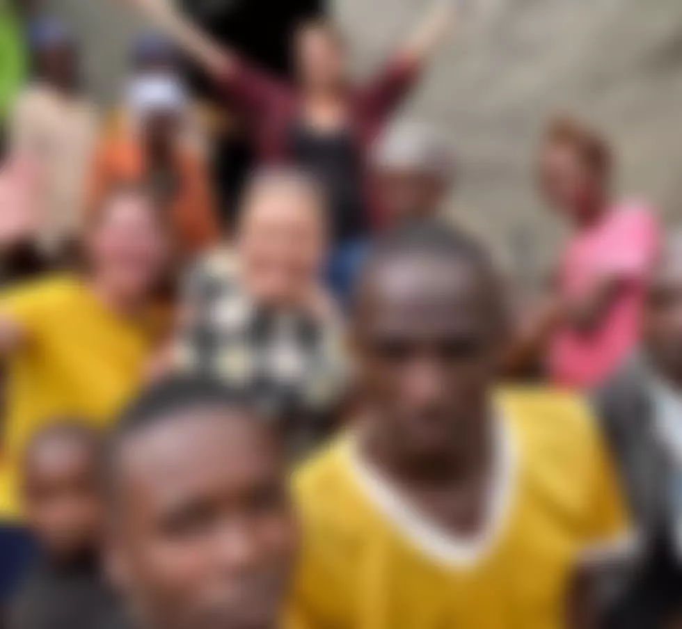 Chameleon Buddies | Charici