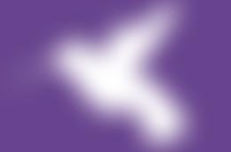 Hummingbird Cancer Support Group | Charici