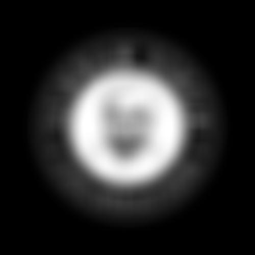 The Sundar Singh Foundation | Charici