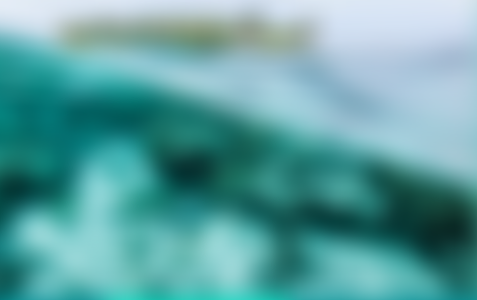 Carbon Gap Ltd | Charici