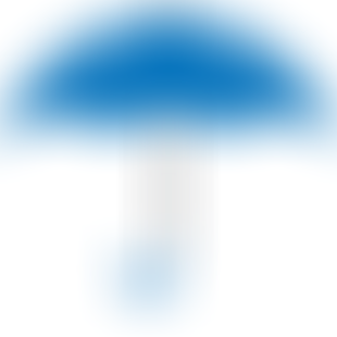 Umbrella Counselling East Midlands Cio | Charici