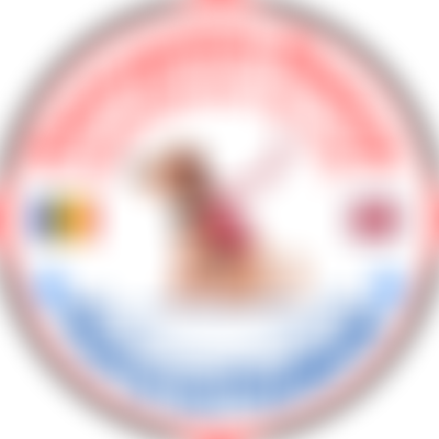 Pennypaws Rescue | Charici