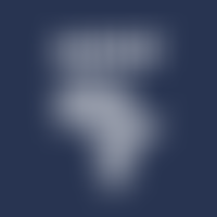 The African Diaspora Economic Inclusion Foundation | Charici