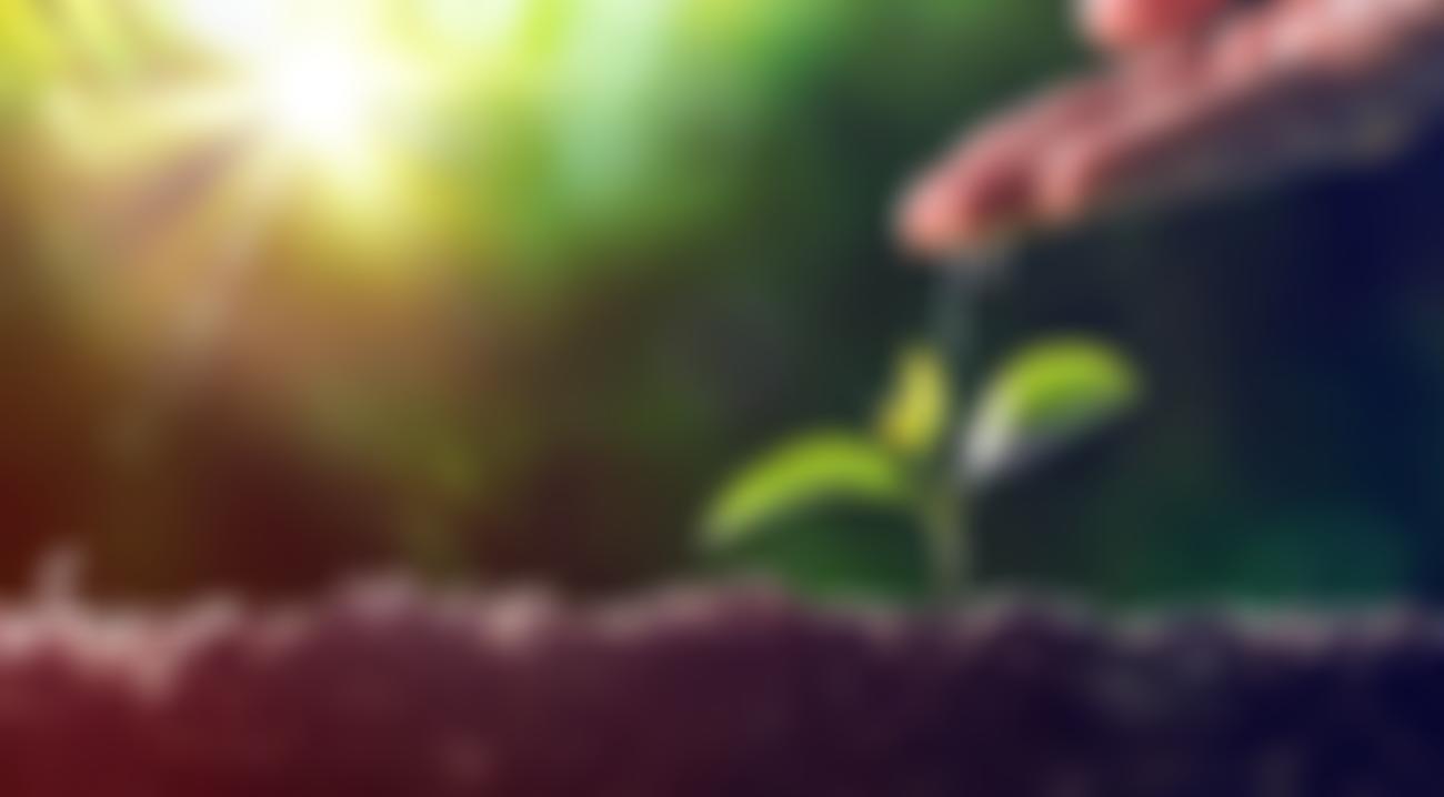 Human Ecology Project | Charici