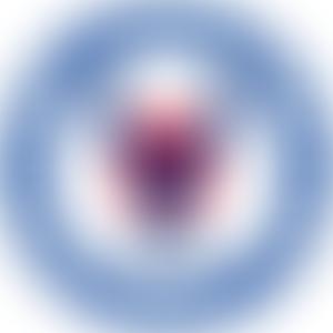 The Flight Lieutenant Rakesh Chauhan Trust | Charici
