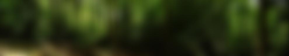 Treehearted | Charici