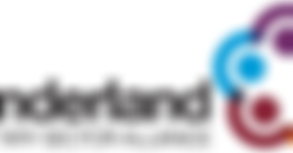 Sunderland Voluntary Sector Alliance | Charici