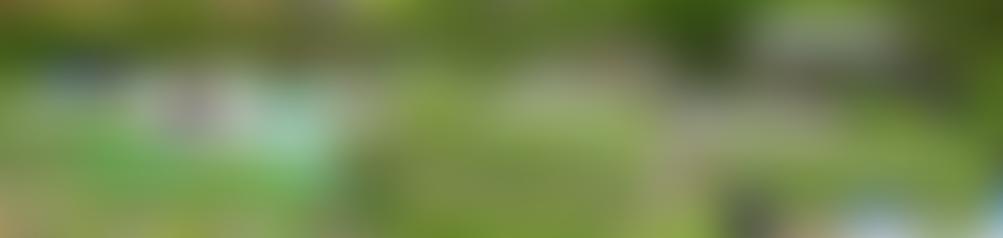 Vale Allotments Association | Charici
