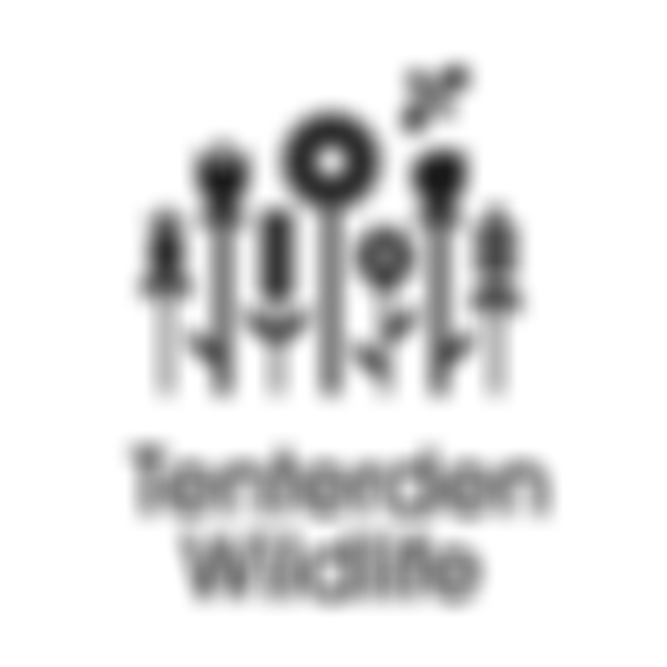 Tenterden Wildlife | Charici