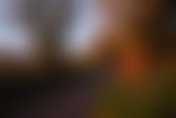 The Devon Vihara Trust | Charici