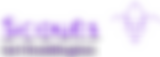 1St Doddington Scout Group | Charici